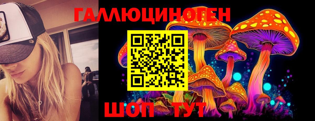 Галлюциногенные грибы Cubensis Шали