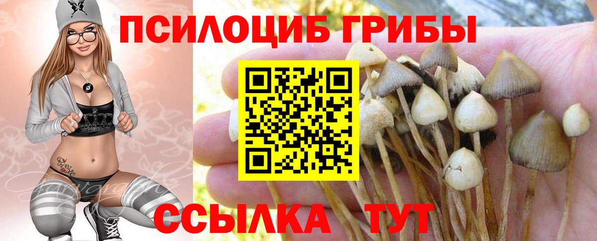 Шали  Псилоцибиновые грибы MAGIC MUSHROOMS  Вход с VPN 